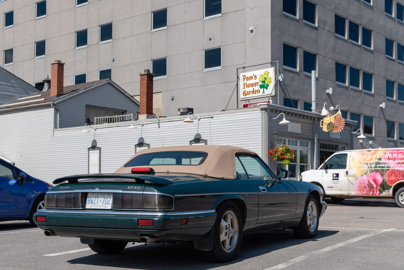 Illustration for article titled Pics from the Curbside: 2019-08-10